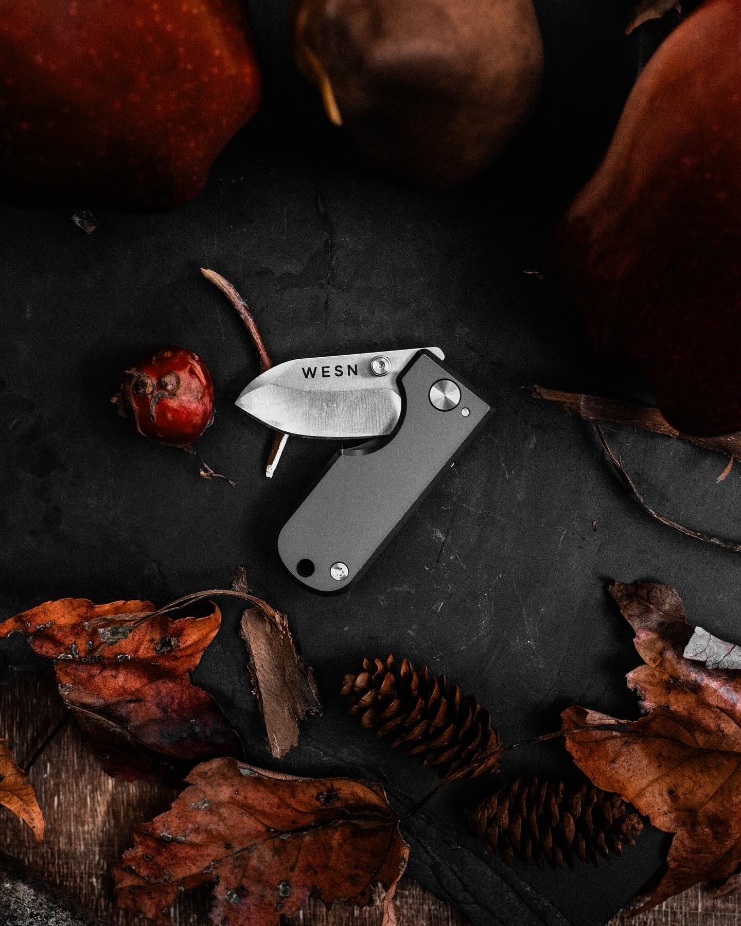 THE MICROBLADE